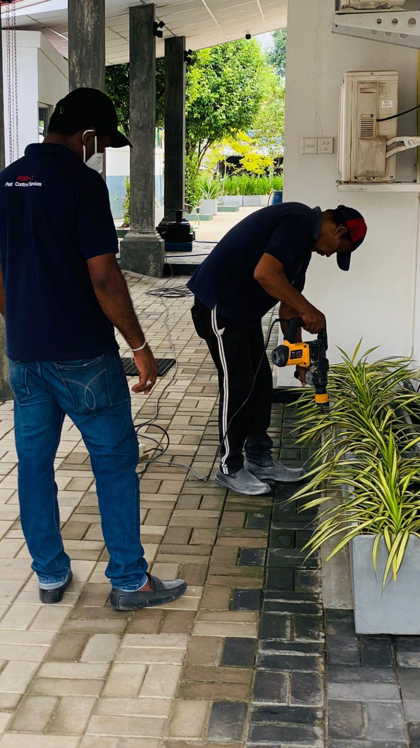 A59c3b68 D54e 4782 945b F0ba2cf68916